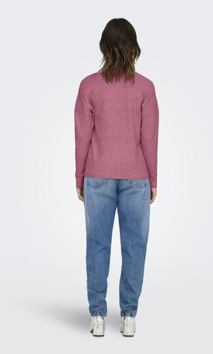 Actual product image Only Onlrica Life L/S V-Neck Pullo Knt Noos (L)