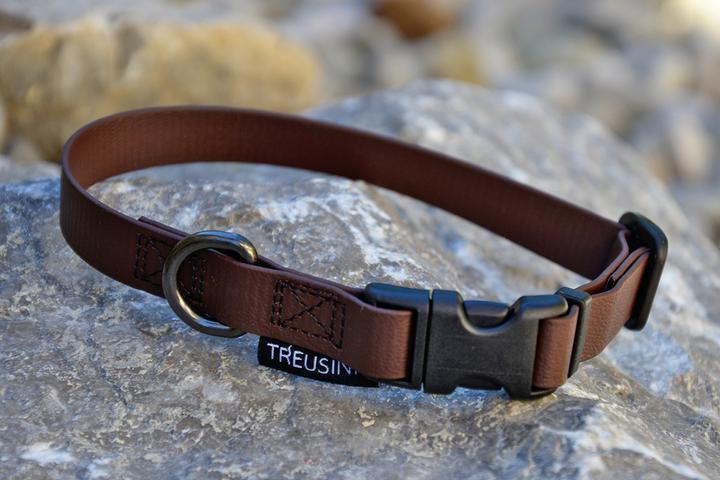 Immagine prodotto Treusinn. Collare per cani Biothane STAY (S, Cane, Generale)