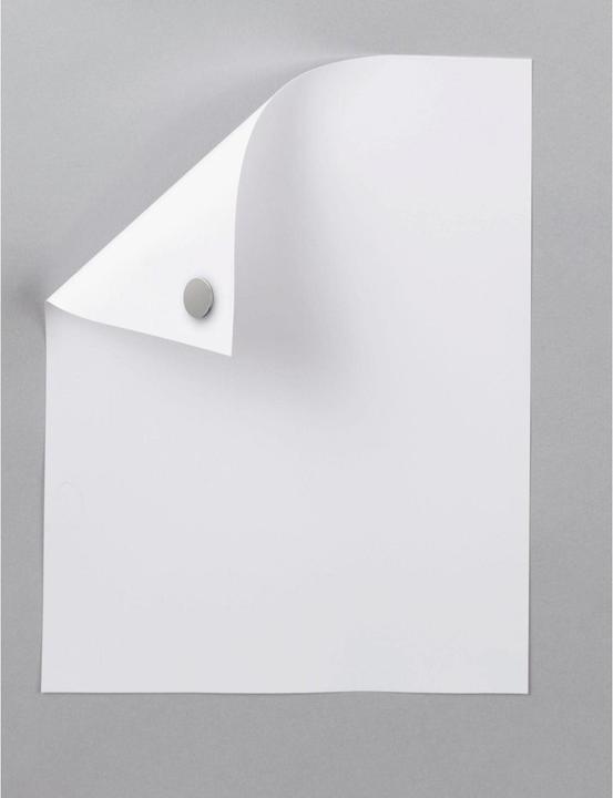 Image du produit Maul Aimant de retenue au néodyme (20 x)