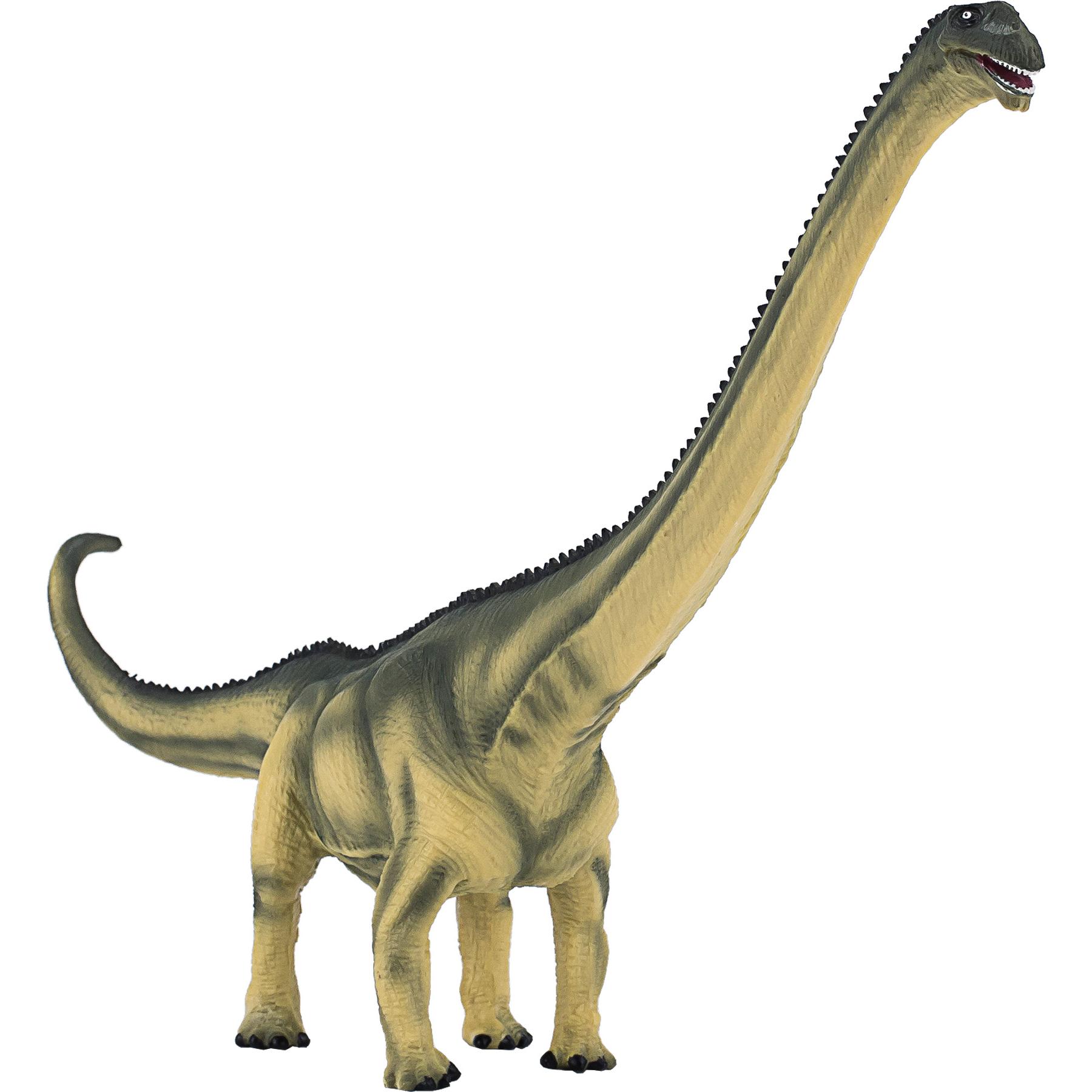 Small Foot Mamenchisaurus