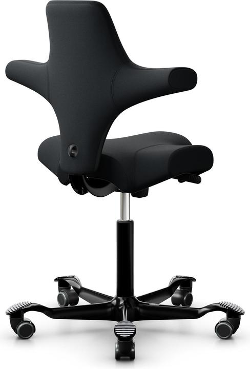 Actual product image HAG Capisco 8106 Select