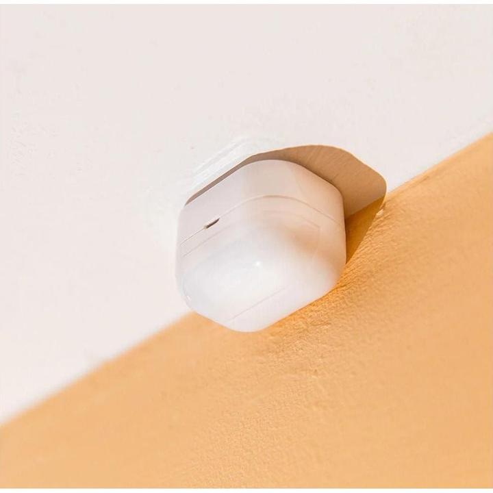 Actual product image Shelly Wave Motion EU LR (80 m)