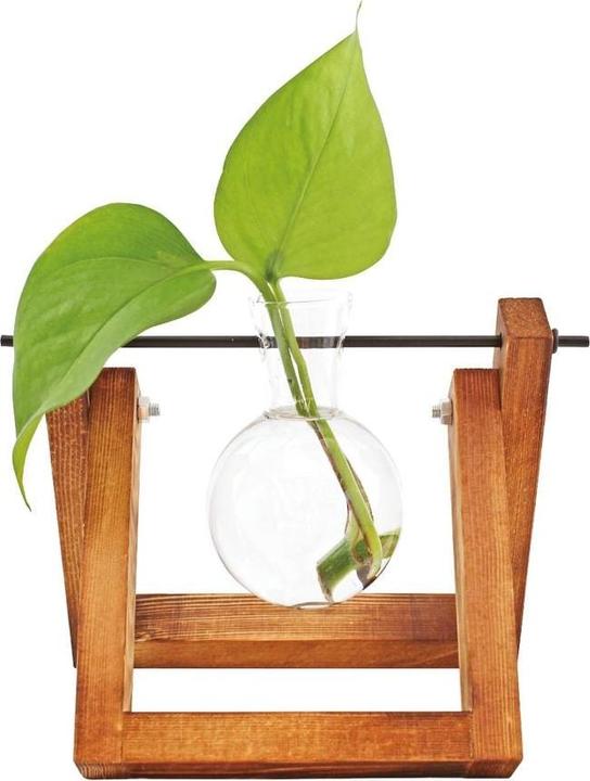 Immagine prodotto Winkee Vasi idro Fleur (1 x)