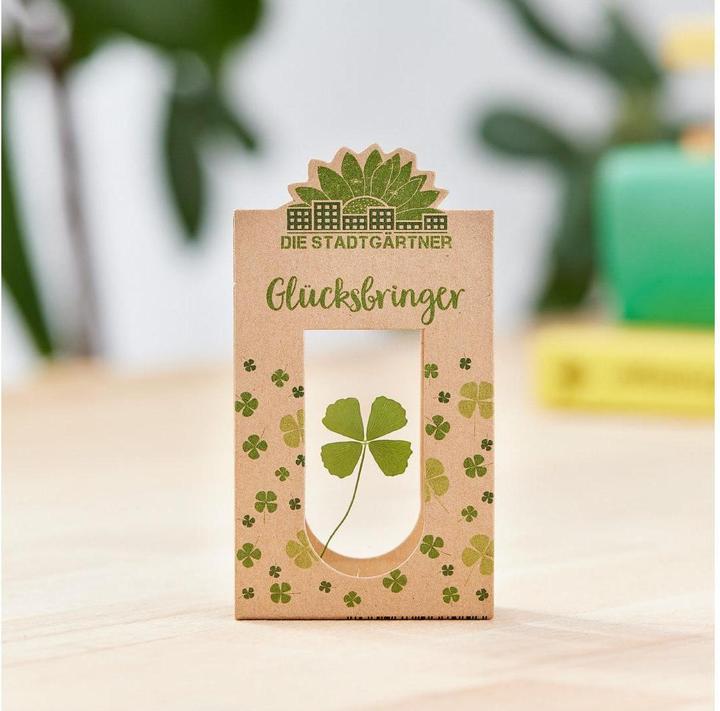 Actual product image Die Stadtgärtner Lucky charm (Dried flowers, 1x)