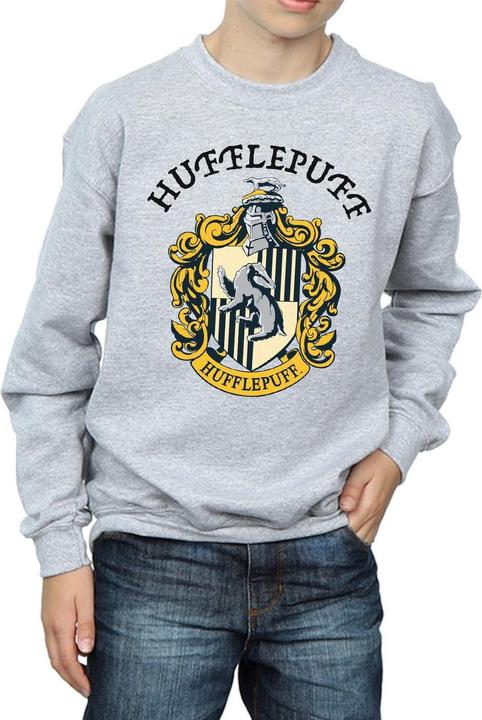 Produktbild Sweatshirt Jungen (140, 146)