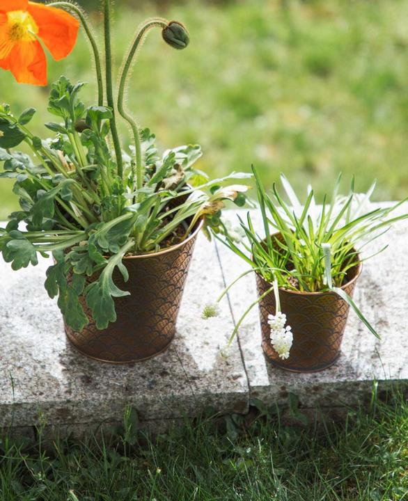 Actual product image Esmée Flower pot / planter Orient, sheet metal (11 cm)