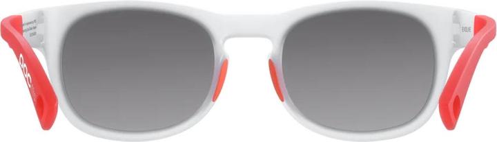 Actual product image Poc Evolve sunglasses