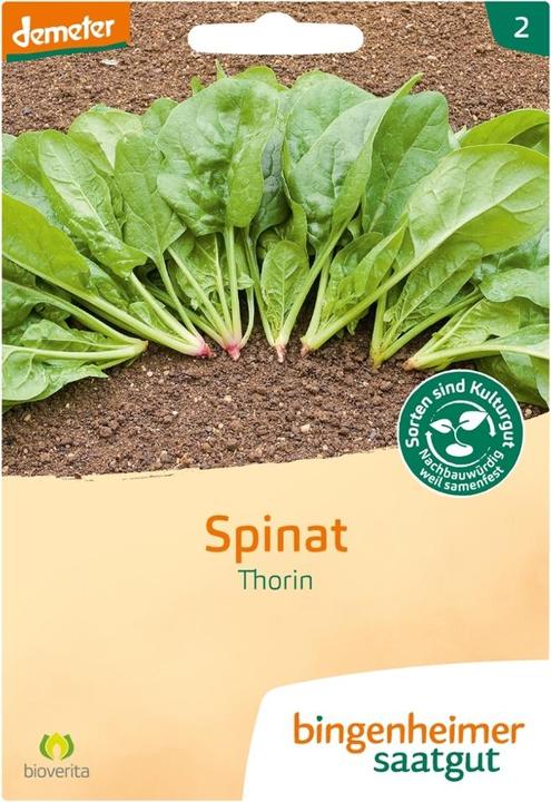 Produktbild Bingenheimer Saatgut Spinat Thorin