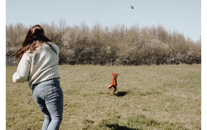 Actual product image Hunter Toy Flingerz Splash Turtle - (401673969524) (Retrieval, Dog chew toy)