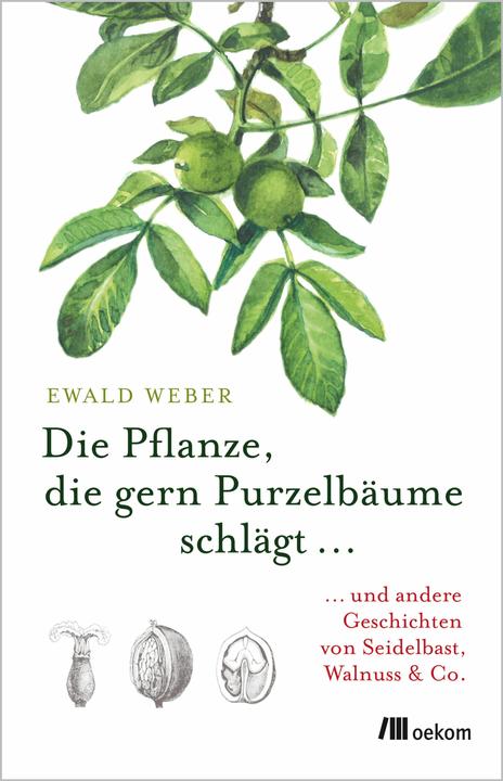 Produktbild Die Pflanze, die gern Purzelbäume schlägt (Deutsch, Ewald Weber, 2018)