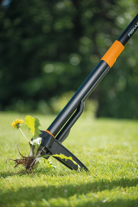 Actual product image Fiskars Xact