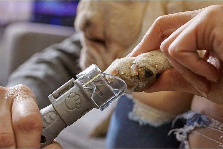 Actual product image Dremel Animal Claw Care (Dog)