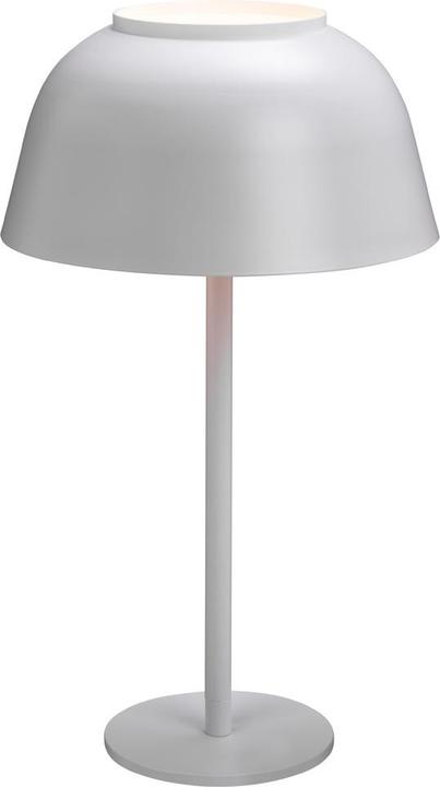 Image du produit Atelier Pfister Camana (E27)