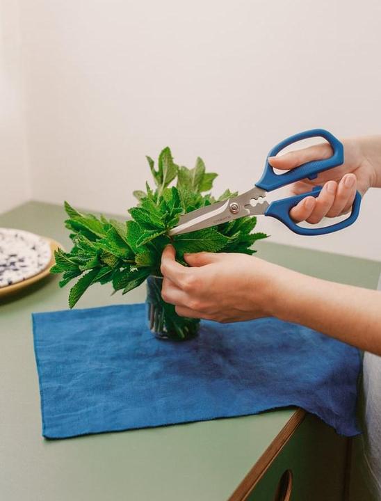 Actual product image Create Kitchenware Studio (21.20 cm)