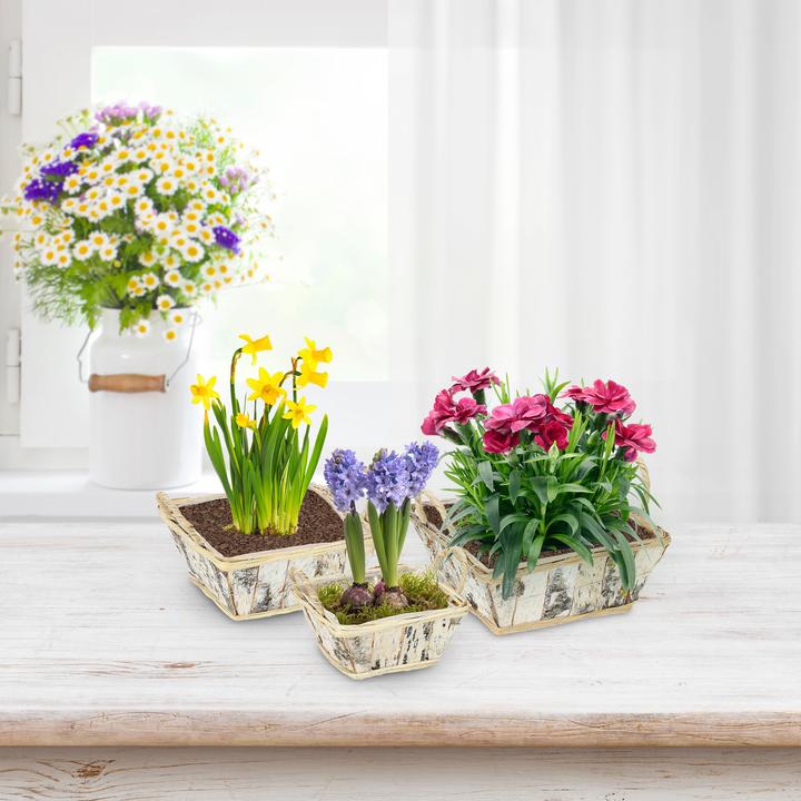 Image du produit Relaxdays 3x pot de fleurs (27 cm)