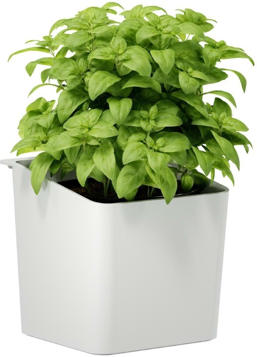 Produktbild tesa Kräutertopf (13.50 cm)