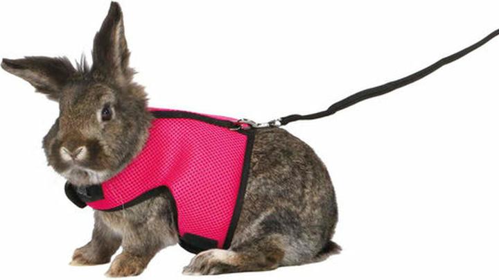 Image du produit Trixie Harnais souple (25, 40, Chat, Chien, Petit animal, Promenade)