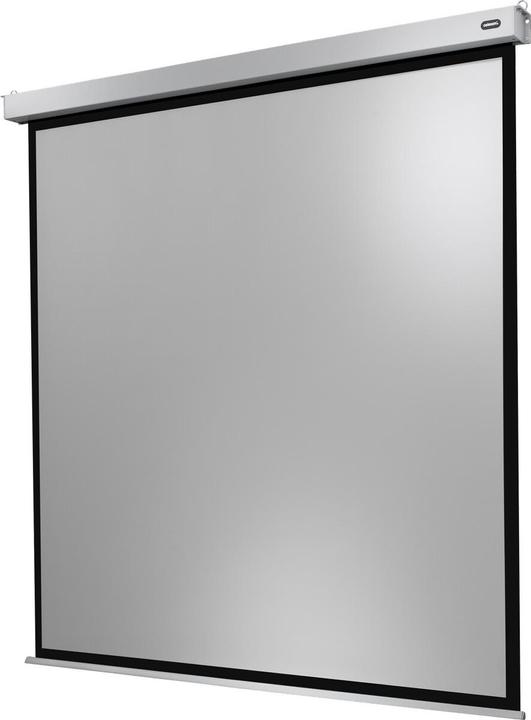 Immagine prodotto Celexon Motore Professional Plus (156", 1:1)
