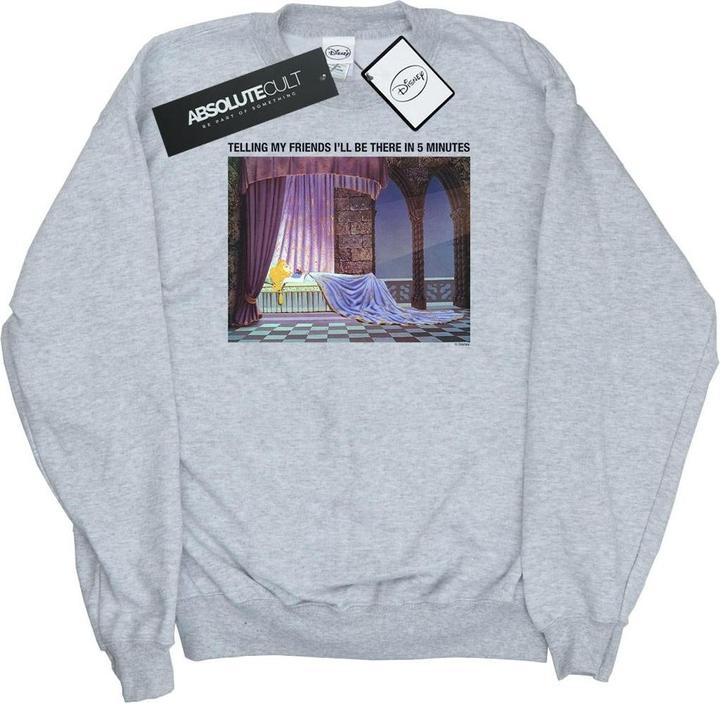 Image du produit Disney - Sweat SLEEPING BEAUTY I'LL BE THERE IN - Garçon (128)