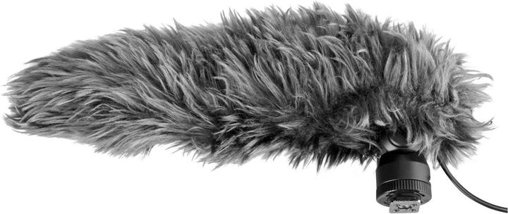 Immagine prodotto Panasonic Dmw-Ms2e