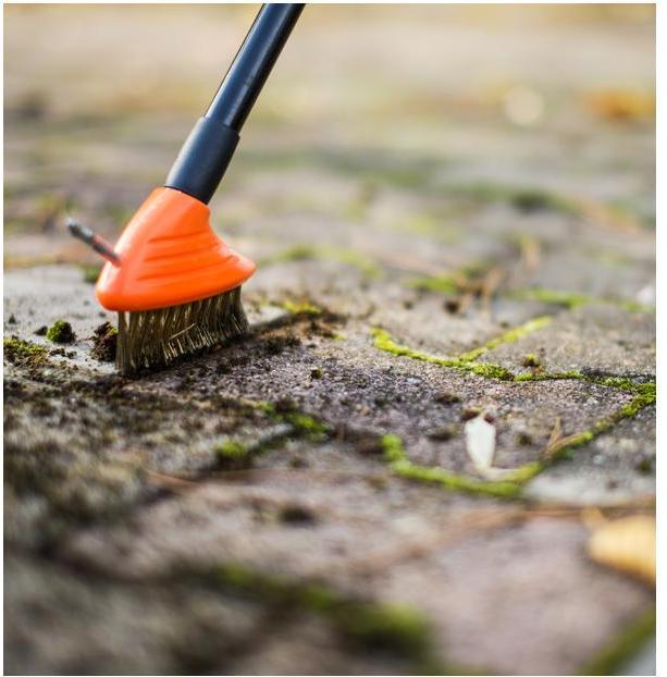 Actual product image Bradas Wire brush set