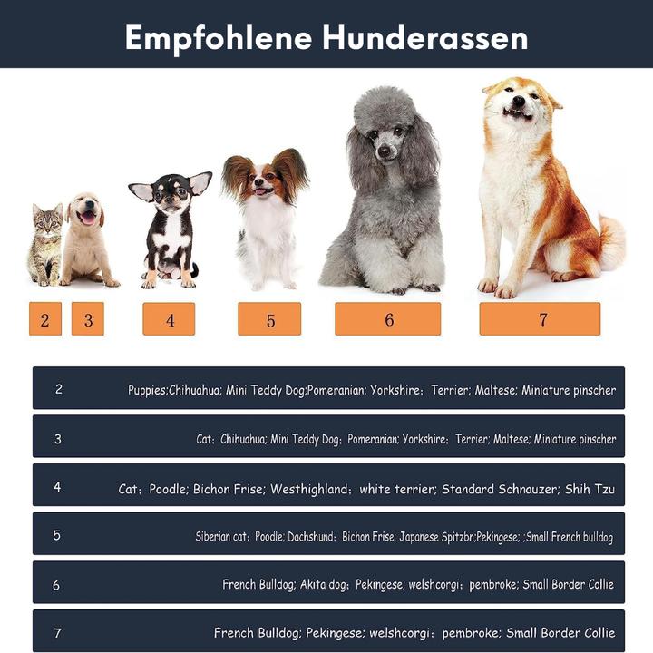 Immagine prodotto Suba Scarpe per cani (M, Scarpe per cani)