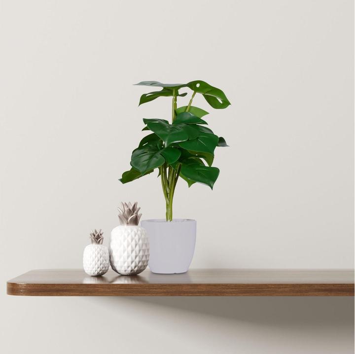 Produktbild Relaxdays 2x Kunstpflanze (33 cm)