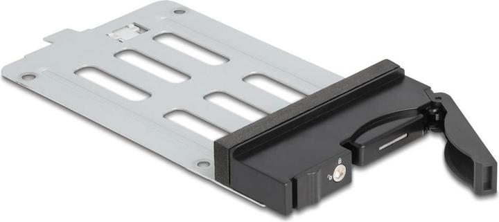 Actual product image Delock Removable frame slot for 1 x 2.5 SATA SAS HDD SSD for removable frame 47220, 4