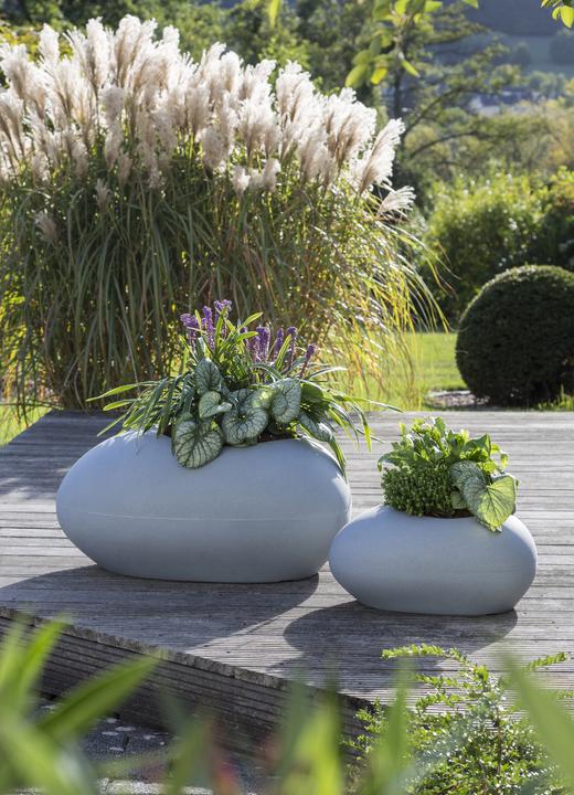 Actual product image Scheurich Plant container 280 (38 cm)