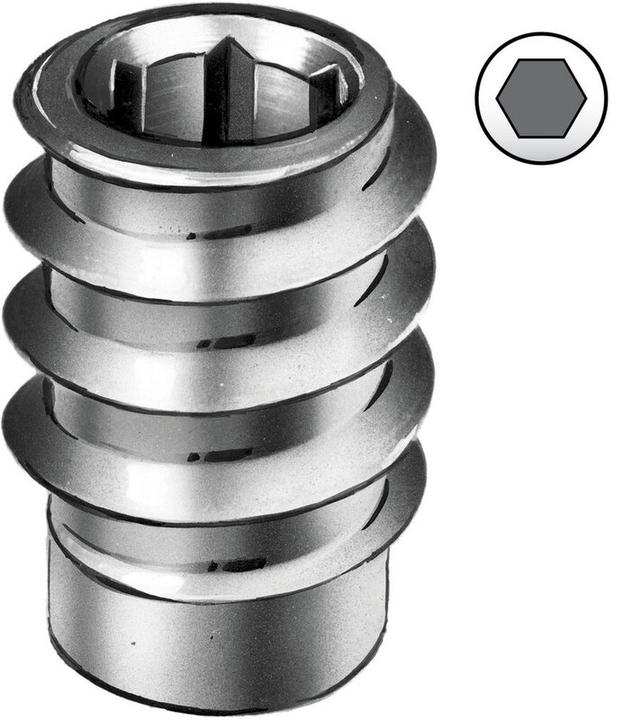 Actual product image Rampa Screw-in sleeves type SK (1 Screw per piece)
