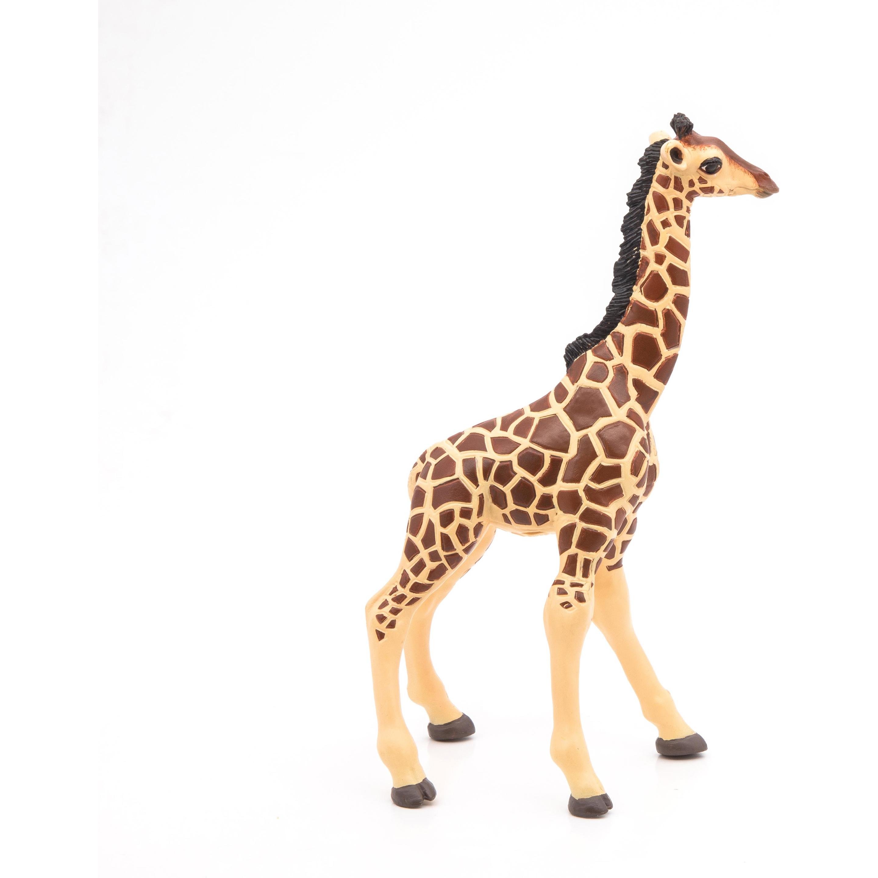 Thumbnail - Papo Giraffenjunges