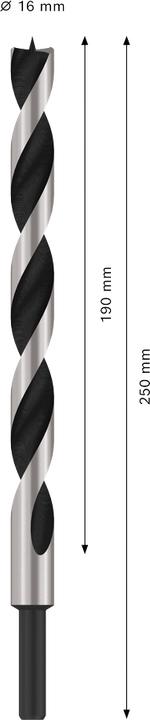 Produktbild Bosch Professional Zubehör Maschinenholzbohrer, M-Spitze 16 x 250 mm, d 10 mm (10 mm)