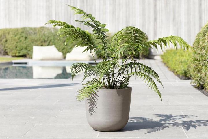 Actual product image Ecopots Oslo (35 cm)