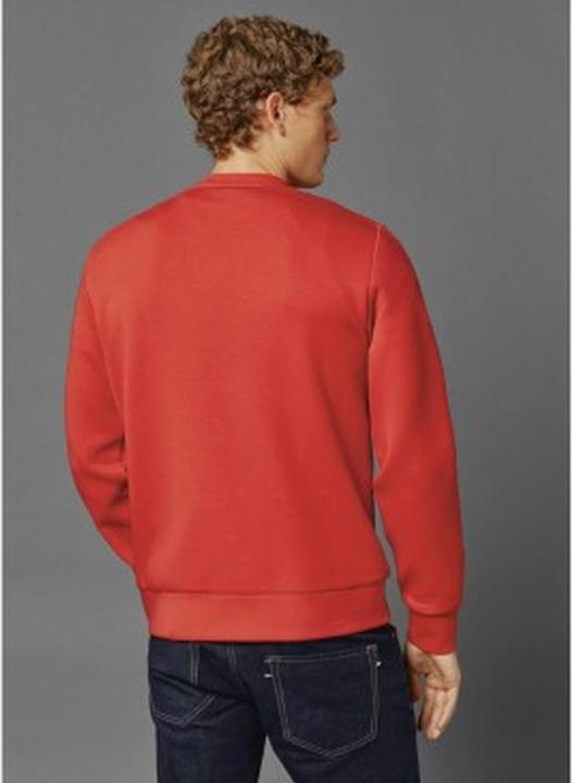 Image du produit Pepe Jeans Sweatshirt Red Bull Racing Logo Équipe (L)