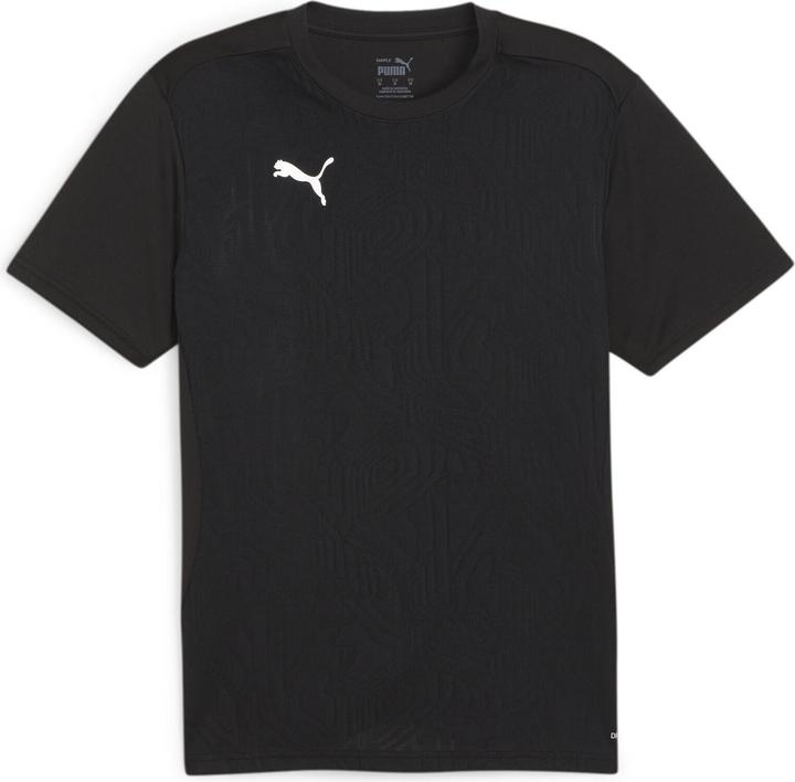 pumablackpumasilver