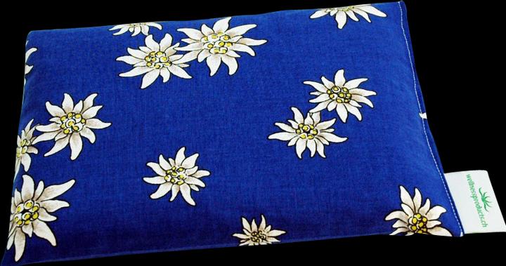 Actual product image Swiss Bio-Pads Cushion with raisin seeds (16 x 21 cm)