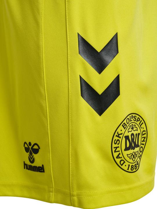 Produktbild hummel Torwartshort Dänemark 2024 (M)