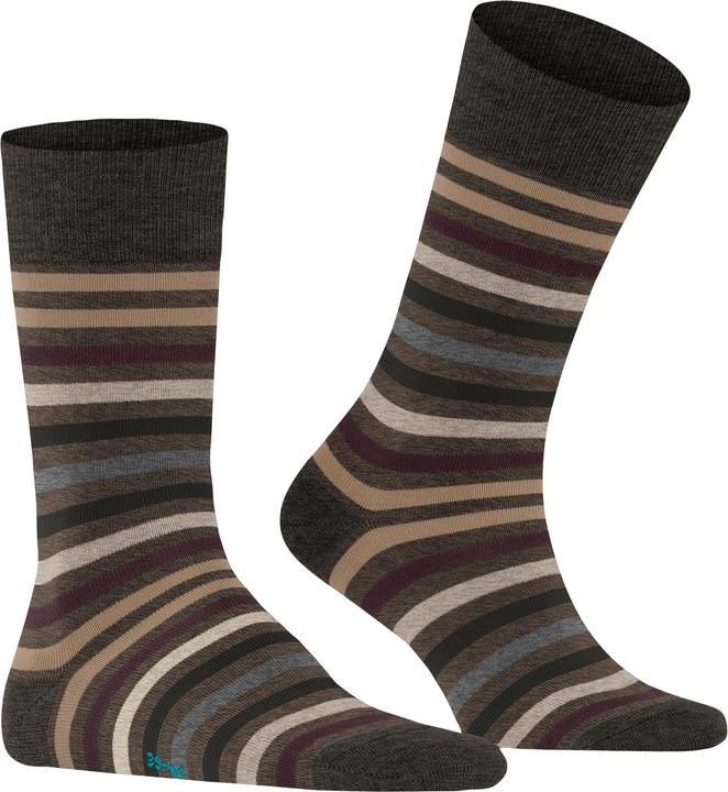 Actual product image Falke Tinted Stripe SO (Single pack, 47 - 50)