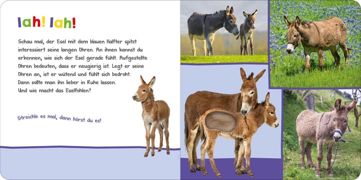 Produktbild Hör mal rein, wer kann das sein? Auf der Weide (Deutsch)