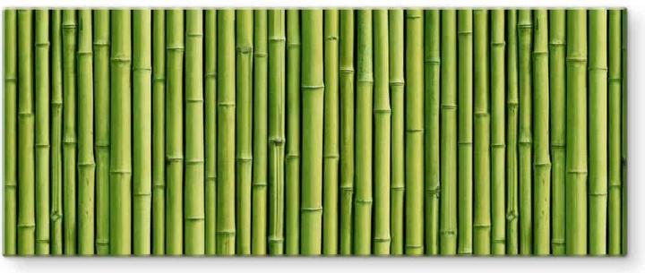 Trenddeko Bambus - Panorama (50 x 120 cm) - kaufen bei Galaxus
