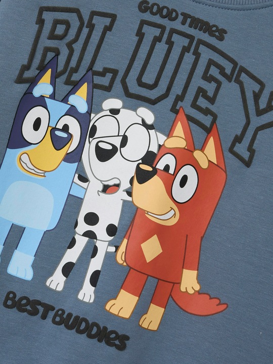 Produktbild Name it Bluey Sweatshirt (80)