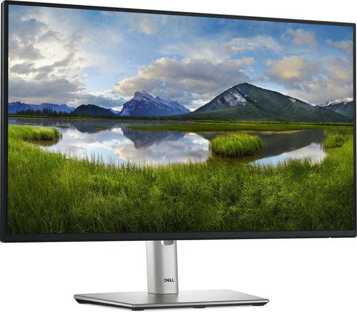 Dell P2425H (1920 x 1080 Pixel, 24")