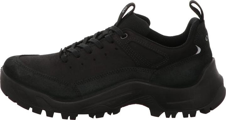 Actual product image Ecco Outdoor shoe OFFROAD (42)