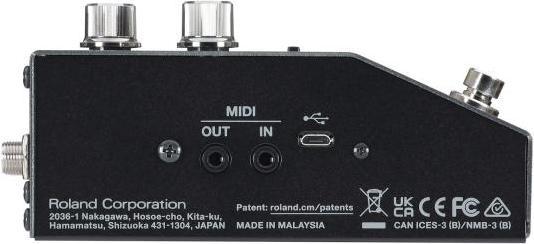 Actual product image BOSS RV-200 Reverb effectpedaal