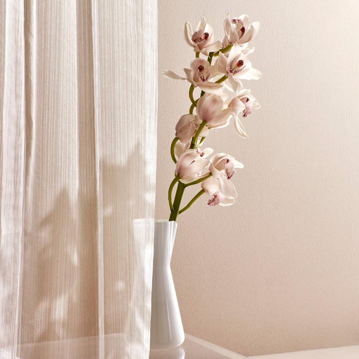 Produktbild Nude Glass Lady (1 l)