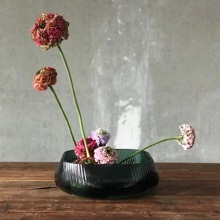 Immagine prodotto Nude Glass Opti