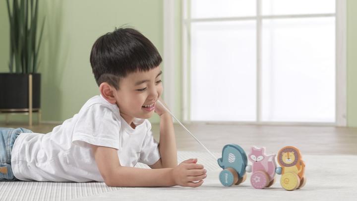 Actual product image Viga Toys Pull toy animals
