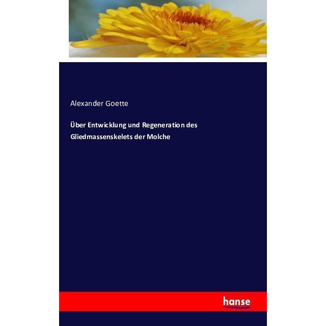 Über Entwicklung und Regeneration des Gliedmassenskelets der Molche, Fachbücher von Alexander Goette