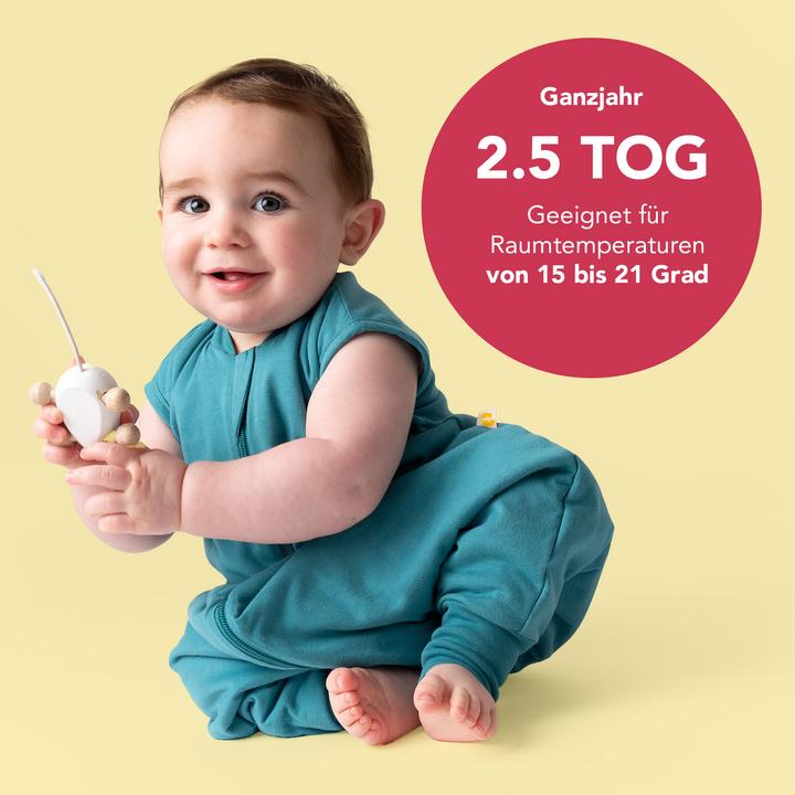Immagine prodotto Schlummersack Sacco nanna con piedini, 2.5 TOG (80 cm, 2,5 TOG, Tutto l'anno)