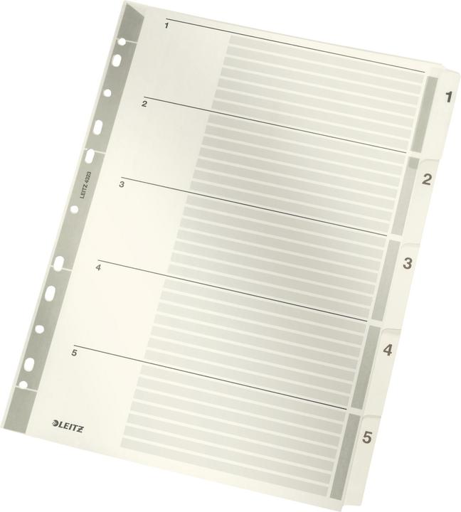 Produktbild Leitz Register Karton
